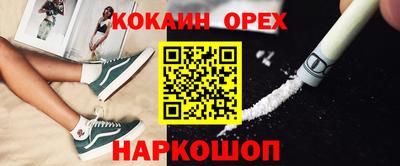 2c-b Кингисепп