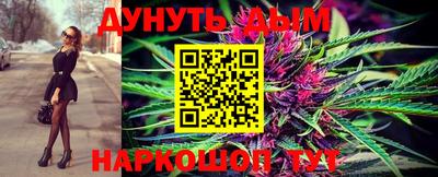 2c-b Кингисепп