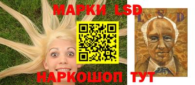 2c-b Кингисепп