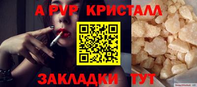 2c-b Кингисепп