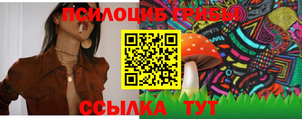 Костомукша  Псилоцибиновые грибы GOLDEN TEACHER  Вход с VPN 